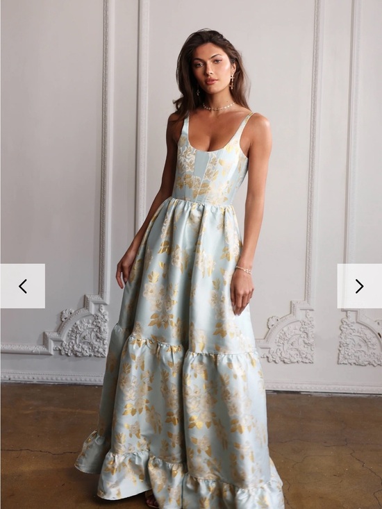 V. Chapman Dresses & Skirts - V. Chapman The Avery Dress in Ballad Blue Baroque Floral